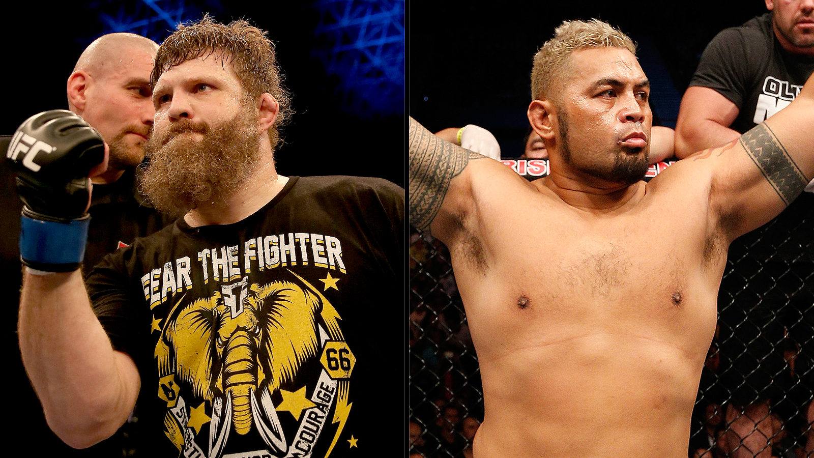 Mark Hunt And Roy Nelson