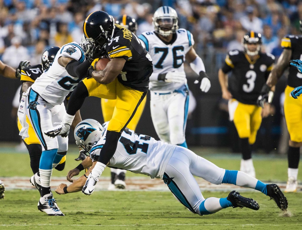 panthers v steelers